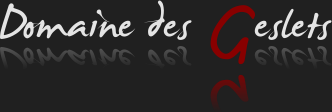 logo Domaine des Geslets